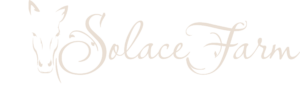 Solar Farm Equine Therapy Mary Valley Gympie Logo Header Pearl